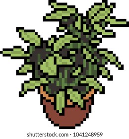 vector pixel art plant pot isolated cartoon