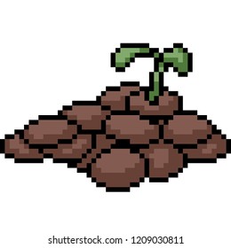 vector pixel art plant seed isolated cartoon