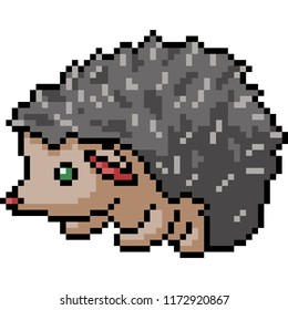 vector pixel art porcupine isolated cartoon
