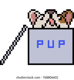 vector pixel art pup pet isolated