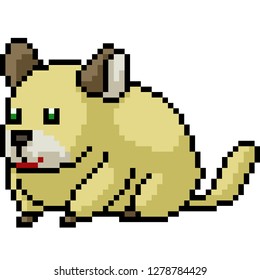 vector pixel art rodent pet isolated cartoon