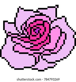 vector pixel art rose purple isolated 