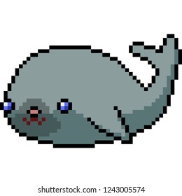 vector pixel art seal isolated cartoon