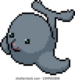 vector pixel art seal isolated cartoon