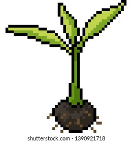 vector pixel art seed plant isolated cartoon