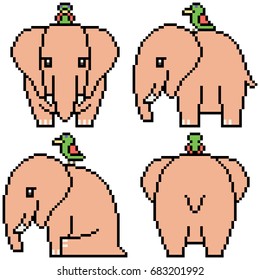 vector pixel art set elephant isolated