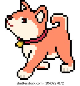 vector pixel art shiba dog isolated cartoon