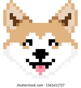 Vector pixel art Shiba Inu dog isolated on white background.