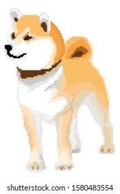 Vektorpixel art Shiba Inu Hund einzeln auf weißem Hintergrund.