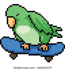 vector pixel art skateboard parrot isolated cartoon