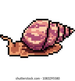 vector pixel art snail isolated cartoon