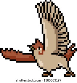 vector pixel art sparrow action isolated cartoon