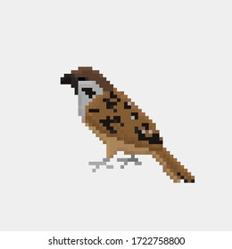 Vector pixel art sparrow action isolated cartoon