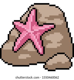 vector pixel art starfish isolated cartoon