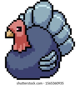 vector pixel art turkey isolated cartoon