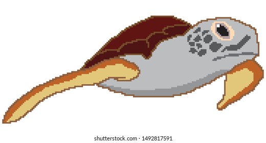 vector pixel art turtle isolated