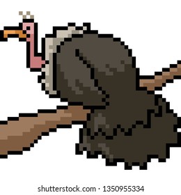 vector pixel art vulture isolated cartoon