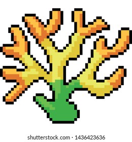 vector pixel art yellow coral isolated cartoon