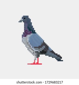 Vector pixel dove isolated on a white background.