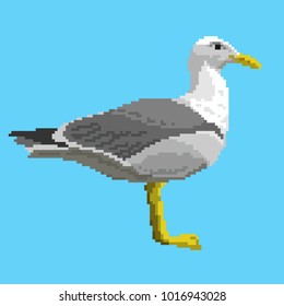 Vector pixel gull isolated on blue background.