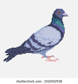 Vector pixel pigeon isolated on a light background.