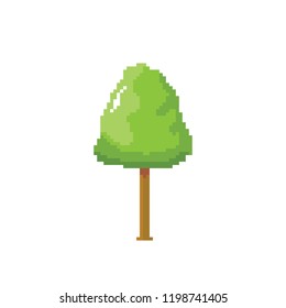 vector pixel style green tree isolated on white. pixel art concept design element