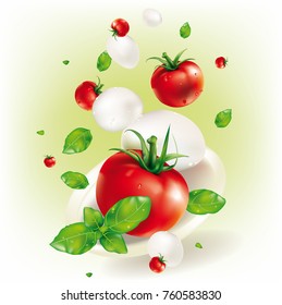 Vector pizza ingredients on a white plate