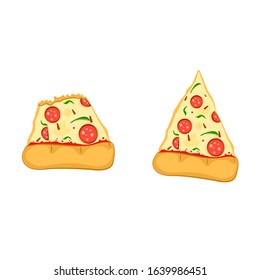 Vector Pizza Slices colorful isolated on white background