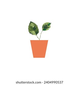 vector plant with brown pot plant