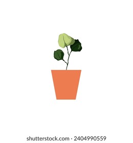 vector plant with brown pot plant