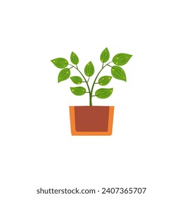 vector plant with brown pot plant