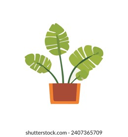 vector plant with brown pot plant