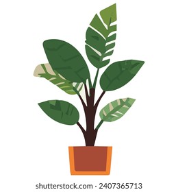 vector plant with brown pot plant