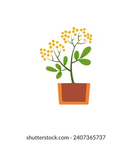 vector plant with brown pot plant