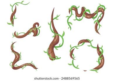 Vector plant creeper cartoon set. Green vine. Tree foliage. Rainforest liana. Cartoon plants. Creeper branch. Jungle liana creeping vines with leaves formed in rectangle and circle frames