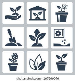 Vector plant growing icons set