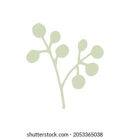 Vector plant herb in a flat doodle style.