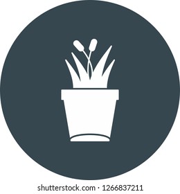 vector plant icon 
