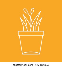 vector plant icon 
