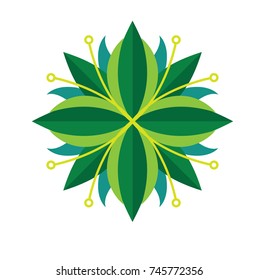 vector plant illustration