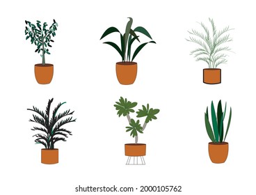 ilustración de planta vectorial eps 10
