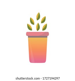 Vector plant.  Illustration  of handmade home decorations 