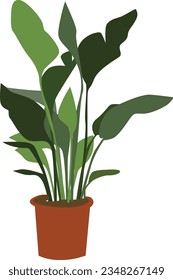 vector plant illustration plant pot