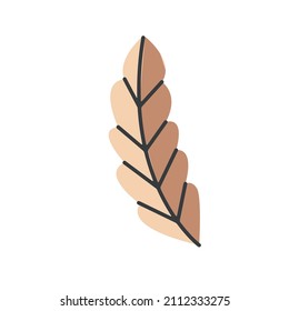vector plant and leaf illustration set. simple doodle elements in limited color palette, minimal flat design for graphic projects