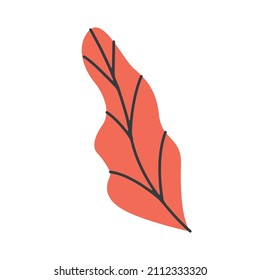conjunto de ilustraciones de plantas vectoriales y hojas. simples elementos de doodle en paleta de color limitado, diseño plano mínimo para proyectos gráficos