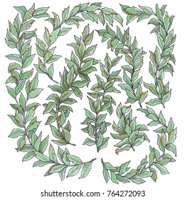 Vector plant and leaves drawing