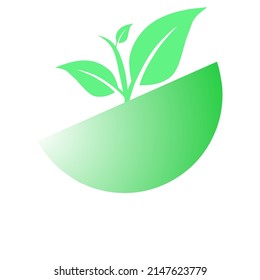 Vida vegetal vectorial en una taza