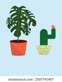 Vector of plant (Monstrea and cactus) 