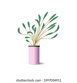 vector plant on pots minimalis modern style