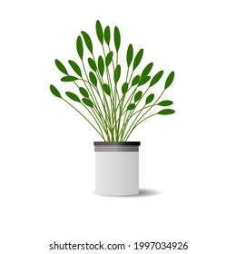 vector plant on pots minimalis modern style